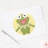 Pook-a-Looz_Kermit_the_Frog_Classic_Round_Sticker_3 Pook A Looz Kermit The Frog Classic Round Sticker