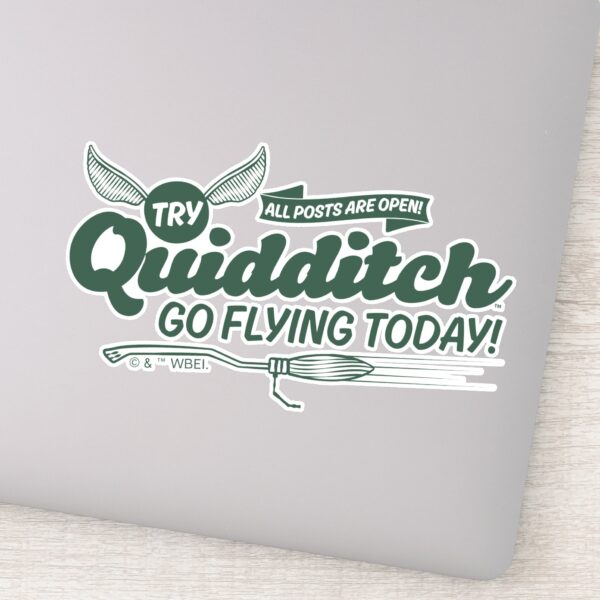 QUIDDITCH™_Recruitment_Poster_Sticker_1 QUIDDITCH™ Recruitment Poster Sticker