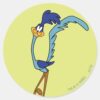 ROAD_RUNNER™_Color_Classic_Round_Sticker_1 ROAD RUNNER™ Color Classic Round Sticker