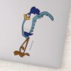 ROAD_RUNNER™_Color_Sticker_1 ROAD RUNNER™ Color Sticker
