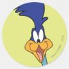 ROAD_RUNNER™_Face_Classic_Round_Sticker_1 ROAD RUNNER™ Face Classic Round Sticker