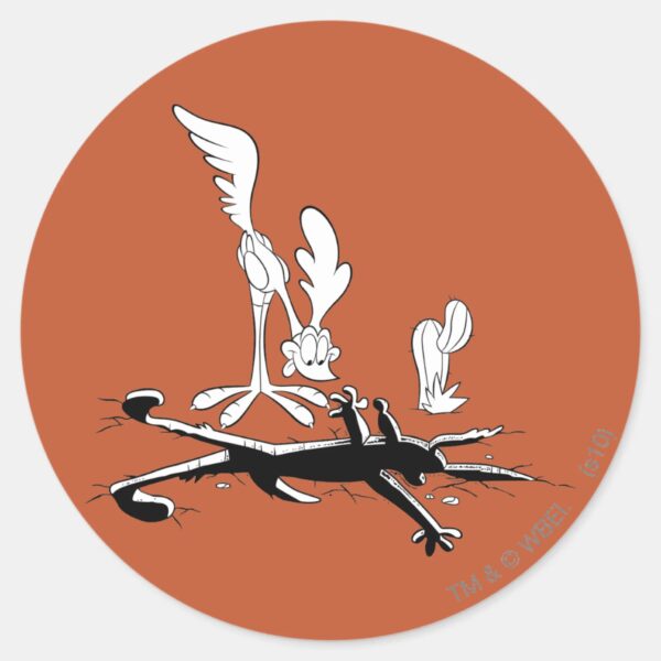 ROAD RUNNER™ And WILE E. COYOTE™ Shaped Hole Classic Round Sticker