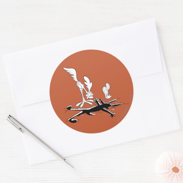 ROAD RUNNER™ And WILE E. COYOTE™ Shaped Hole Classic Round Sticker