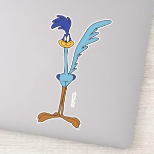 ROAD RUNNER™ In Color Sticker