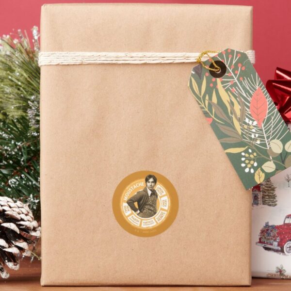 Rajesh_Info_Graphic_Classic_Round_Sticker_6 Rajesh Info Graphic Classic Round Sticker