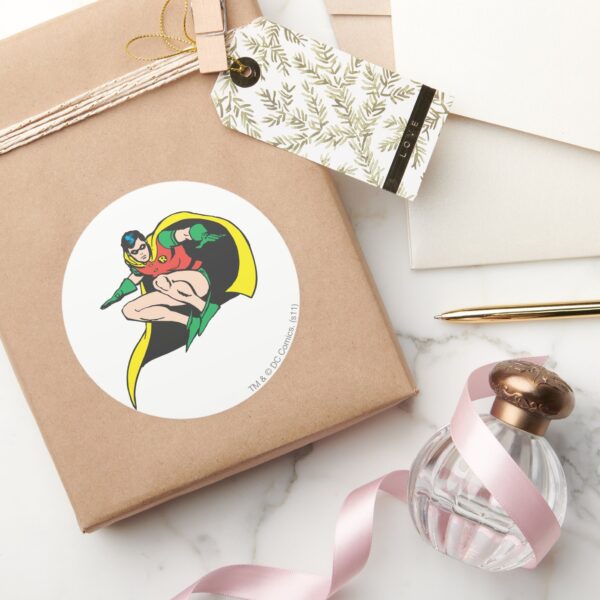 Robin Crouches Classic Round Sticker