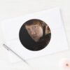 Ron_Weasley_Geared_Up_Classic_Round_Sticker_3 Ron Weasley Geared Up Classic Round Sticker