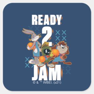 SPACE JAM A NEW LEGACY™ Ready 2 Jam Square Sticker