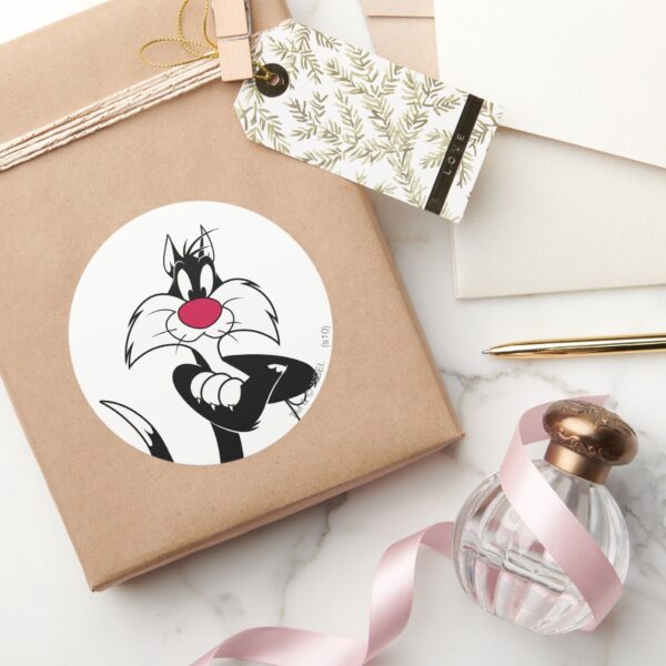 SYLVESTER™_Red_Nose_Classic_Round_Sticker_5 SYLVESTER™ Red Nose Classic Round Sticker