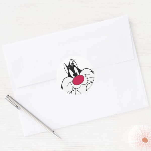 SYLVESTER™_Red_Nose_Face_Classic_Round_Sticker_3 SYLVESTER™ Red Nose Face Classic Round Sticker