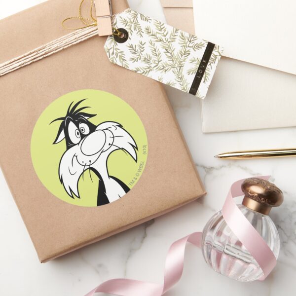 SYLVESTER™_Silly_Classic_Round_Sticker_5 SYLVESTER™ Silly Classic Round Sticker