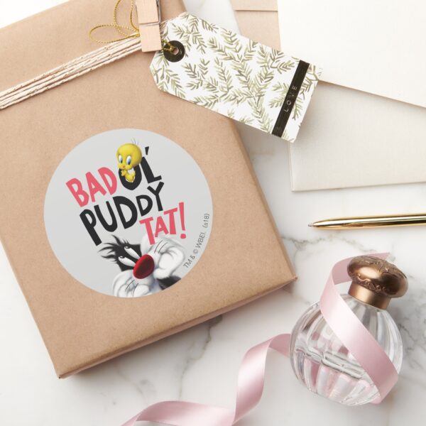 SYLVESTER™_&_TWEETY™-_Bad_Ol'_Puddy_Tat_Classic_Round_Sticker_5 SYLVESTER™ TWEETY™ Bad Ol Puddy Tat Classic Round Sticker