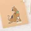 Scooby-Doo_Bashful_Pose_Sticker_11 Scooby Doo Bashful Pose Sticker