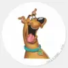 Scooby-Doo_Excited_Face_Classic_Round_Sticker_1 Scooby Doo Excited Face Classic Round Sticker