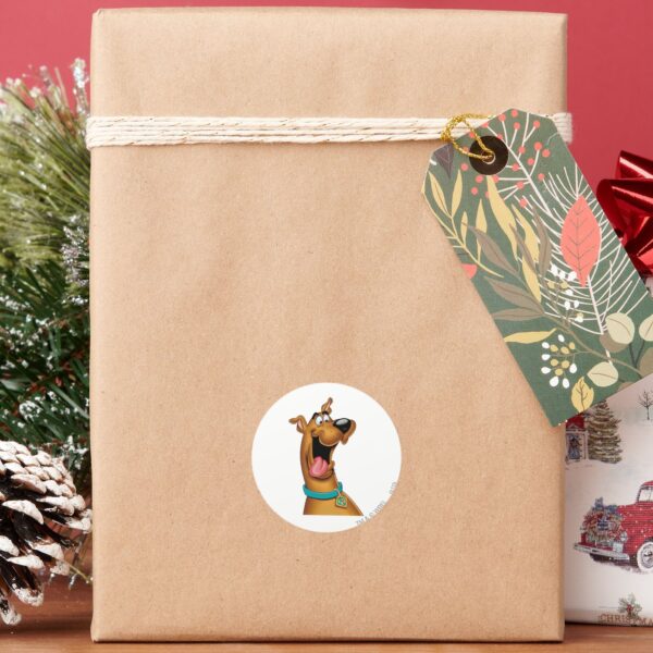 Scooby-Doo_Excited_Face_Classic_Round_Sticker_6 Scooby Doo Excited Face Classic Round Sticker