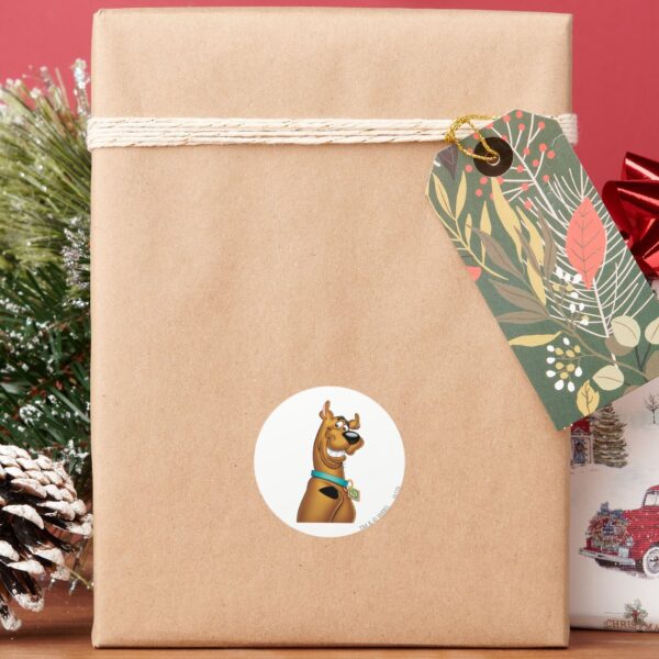 Scooby-Doo_Grin_Classic_Round_Sticker_6 Scooby Doo Grin Classic Round Sticker