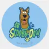 Scooby Doo Paw Print Character Badge Classic Round Sticker