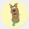 Scooby-Doo_Smiling_Face_Classic_Round_Sticker_1 Scooby Doo Smiling Face Classic Round Sticker