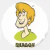 Shaggy Name Graphic Classic Round Sticker