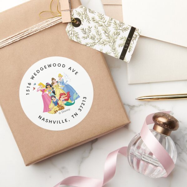 Simple_and_Modern_Disney_Princess_Birthday_Classic_Round_Sticker_7 Simple And Modern Disney Princess Birthday Classic Round Sticker