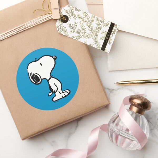 Snoopy_Classic_Comics_Classic_Round_Sticker_5 Snoopy Classic Comics Classic Round Sticker