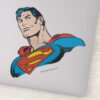 Superman_Bust_Smirk_Sticker_1 Superman Bust Smirk Sticker