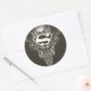 Superman_Stylized___Star_and_Skull_Logo_Classic_Round_Sticker_3 Superman Stylized Star And Skull Logo Classic Round Sticker