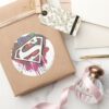 Superman_Stylized___Twisted_Innocence_Logo_Classic_Round_Sticker_5 Superman Stylized Twisted Innocence Logo Classic Round Sticker