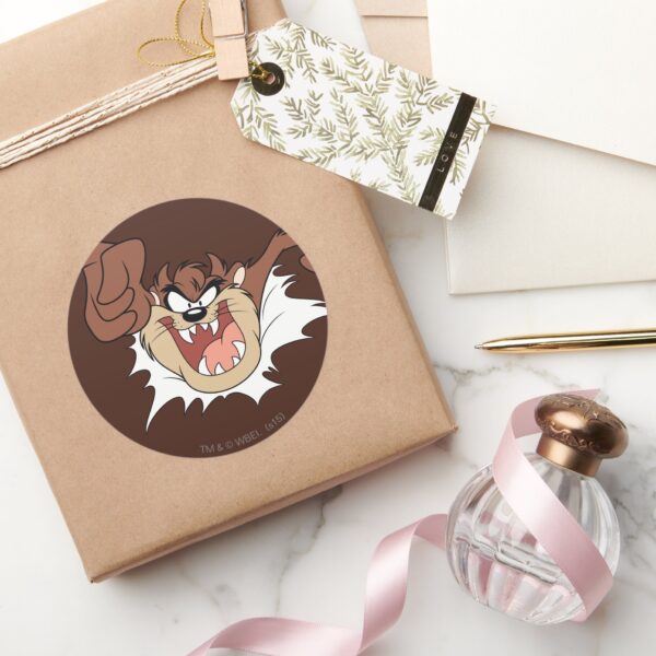 TAZ™ Bursting Through Page Classic Round Sticker