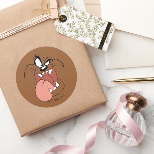 TAZ™_Crazy_Smile_Classic_Round_Sticker_5 TAZ™ Crazy Smile Classic Round Sticker