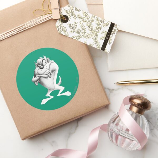 TAZ™_Drawing_Classic_Round_Sticker_5 TAZ™ Drawing Classic Round Sticker