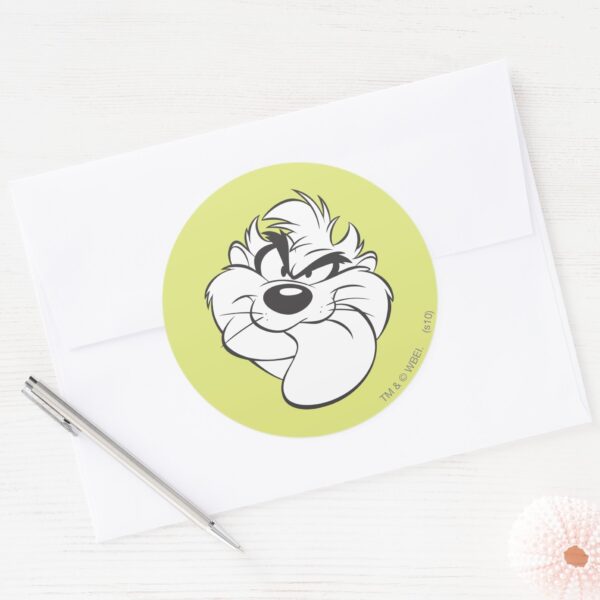 TAZ™_Expressive_15_Classic_Round_Sticker_3 TAZ™ Expressive 15 Classic Round Sticker