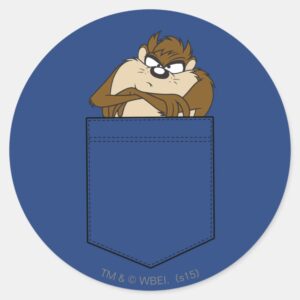 TAZ™ In A Pocket Classic Round Sticker