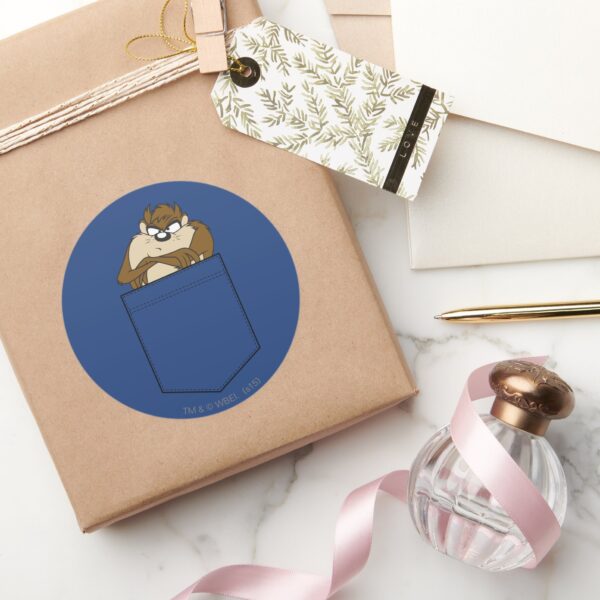 TAZ™_In_A_Pocket_Classic_Round_Sticker_5 TAZ™ In A Pocket Classic Round Sticker