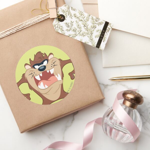 TAZ™_Toothy_Grin_Classic_Round_Sticker_5 TAZ™ Toothy Grin Classic Round Sticker