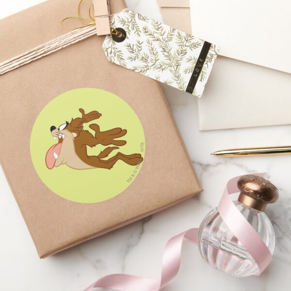 TAZ™_flying_through_the_air_Classic_Round_Sticker_5 TAZ™ Flying Through The Air Classic Round Sticker