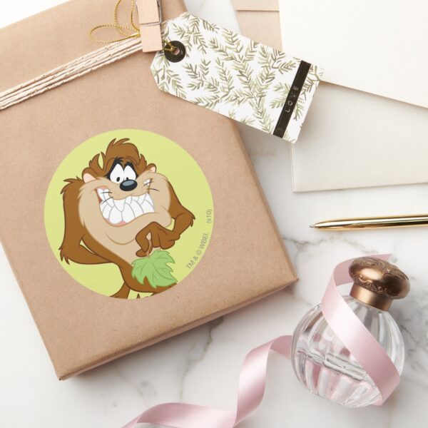 TAZ™_holding_a_leaf_Classic_Round_Sticker_5 TAZ™ Holding A Leaf Classic Round Sticker