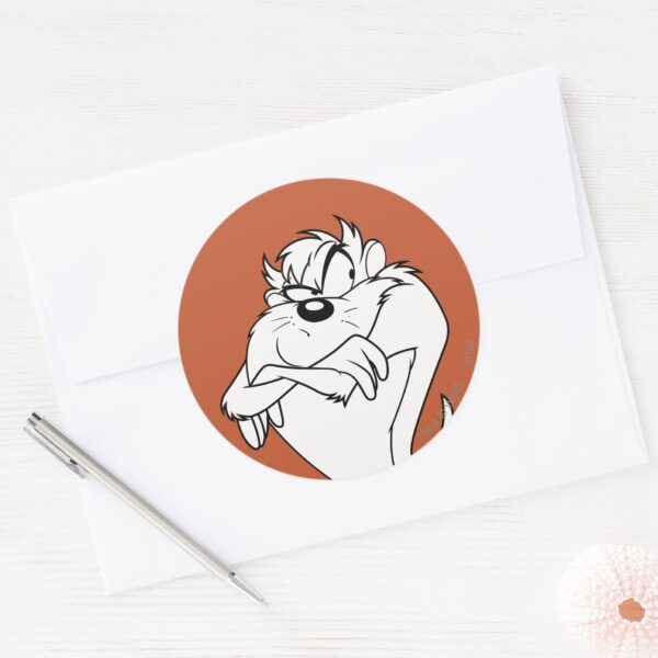 TAZ™_posing_Classic_Round_Sticker_3 TAZ™ Posing Classic Round Sticker