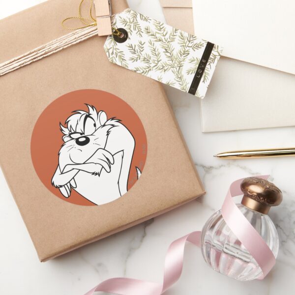 TAZ™_posing_Classic_Round_Sticker_5 TAZ™ Posing Classic Round Sticker