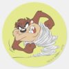 TAZ™_spinning_fast_Classic_Round_Sticker_1 TAZ™ Spinning Fast Classic Round Sticker