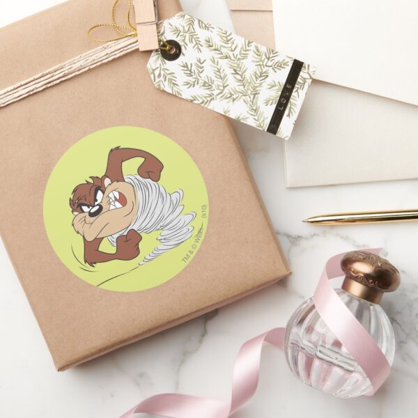 TAZ™_spinning_fast_Classic_Round_Sticker_5 TAZ™ Spinning Fast Classic Round Sticker