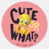 TWEETY™-_Cute_Or_What__Classic_Round_Sticker_1 TWEETY™ Cute Or What Classic Round Sticker