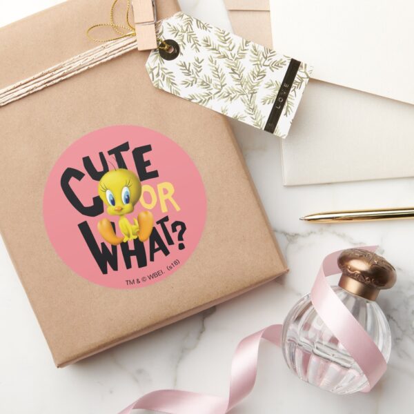 TWEETY™-_Cute_Or_What__Classic_Round_Sticker_5 TWEETY™ Cute Or What Classic Round Sticker