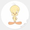 TWEETY™_Angry_Classic_Round_Sticker_1 TWEETY™ Angry Classic Round Sticker