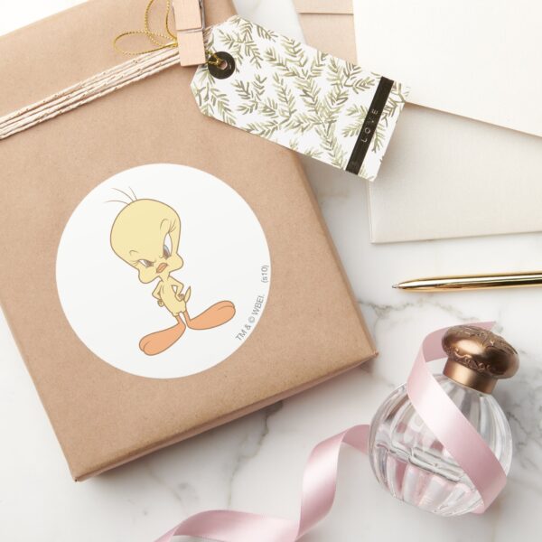 TWEETY™_Angry_Classic_Round_Sticker_5 TWEETY™ Angry Classic Round Sticker