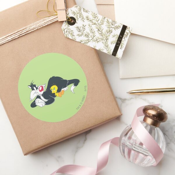 TWEETY™ In Action Pose 14 Classic Round Sticker