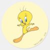 TWEETY™_Landing_Classic_Round_Sticker_1 TWEETY™ Landing Classic Round Sticker