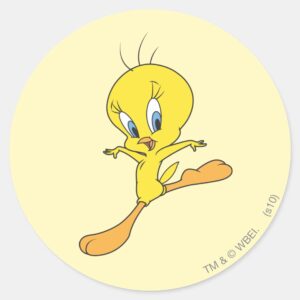 TWEETY™ Landing Classic Round Sticker