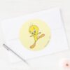 TWEETY™_Landing_Classic_Round_Sticker_3 TWEETY™ Landing Classic Round Sticker