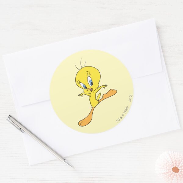 TWEETY™_Landing_Classic_Round_Sticker_3 TWEETY™ Landing Classic Round Sticker
